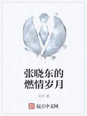 张晓东的燃情岁月封面