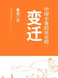 中国小说的历史的变迁封面